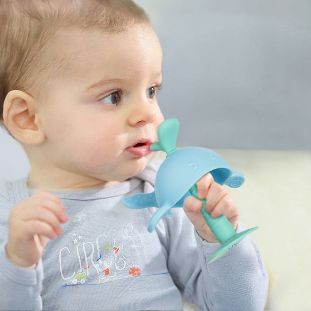 Baby Teething Toys For Newborn Infants Safe Infant And Toddler Silicone Teethers